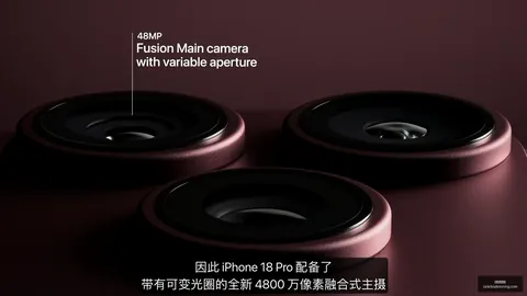 穿越彩云之南，魔翼助力海港飞跃，紫禁之巅重逢奇遇
